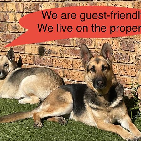 Celtis Lane Guest House Boksburg Eksteriør billede