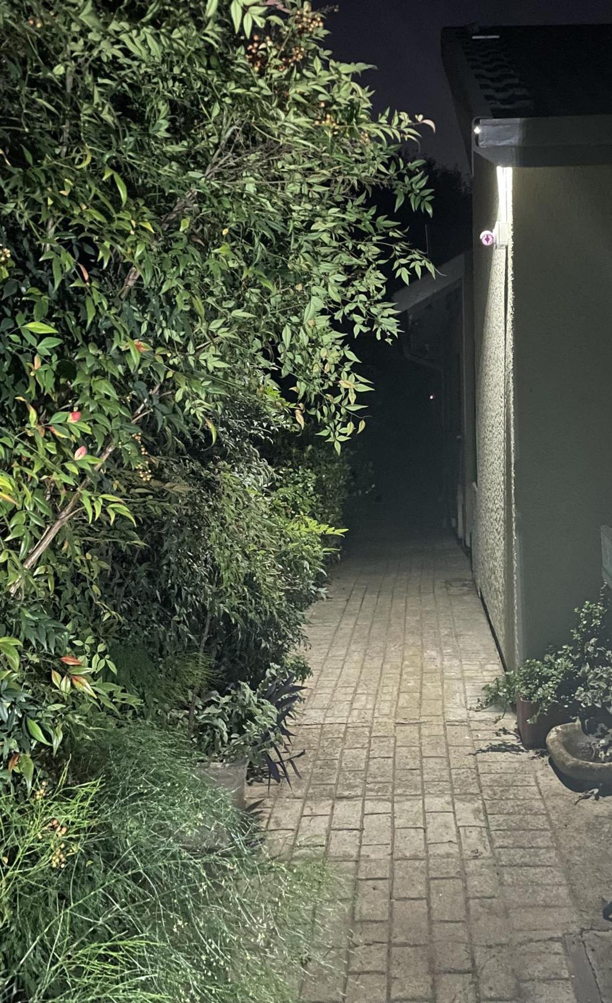 Celtis Lane Guest House Boksburg Eksteriør billede