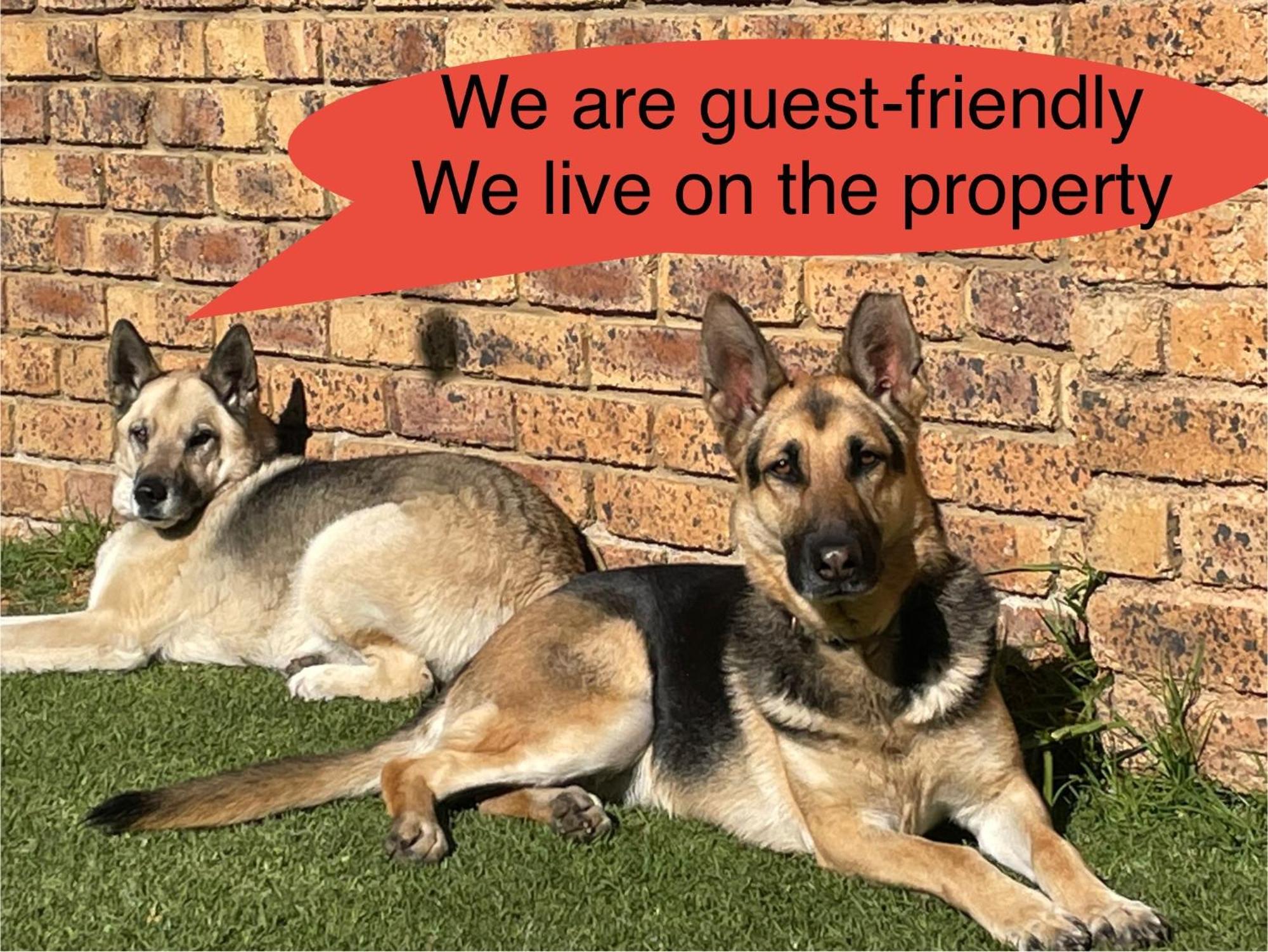Celtis Lane Guest House Boksburg Eksteriør billede